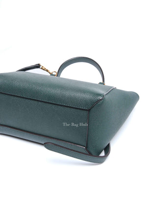 Celine Amazone Grained Calfskin Nano Belt Bag