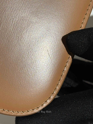 Celine Bronze Leather Classic Triomphe Shoulder Bag