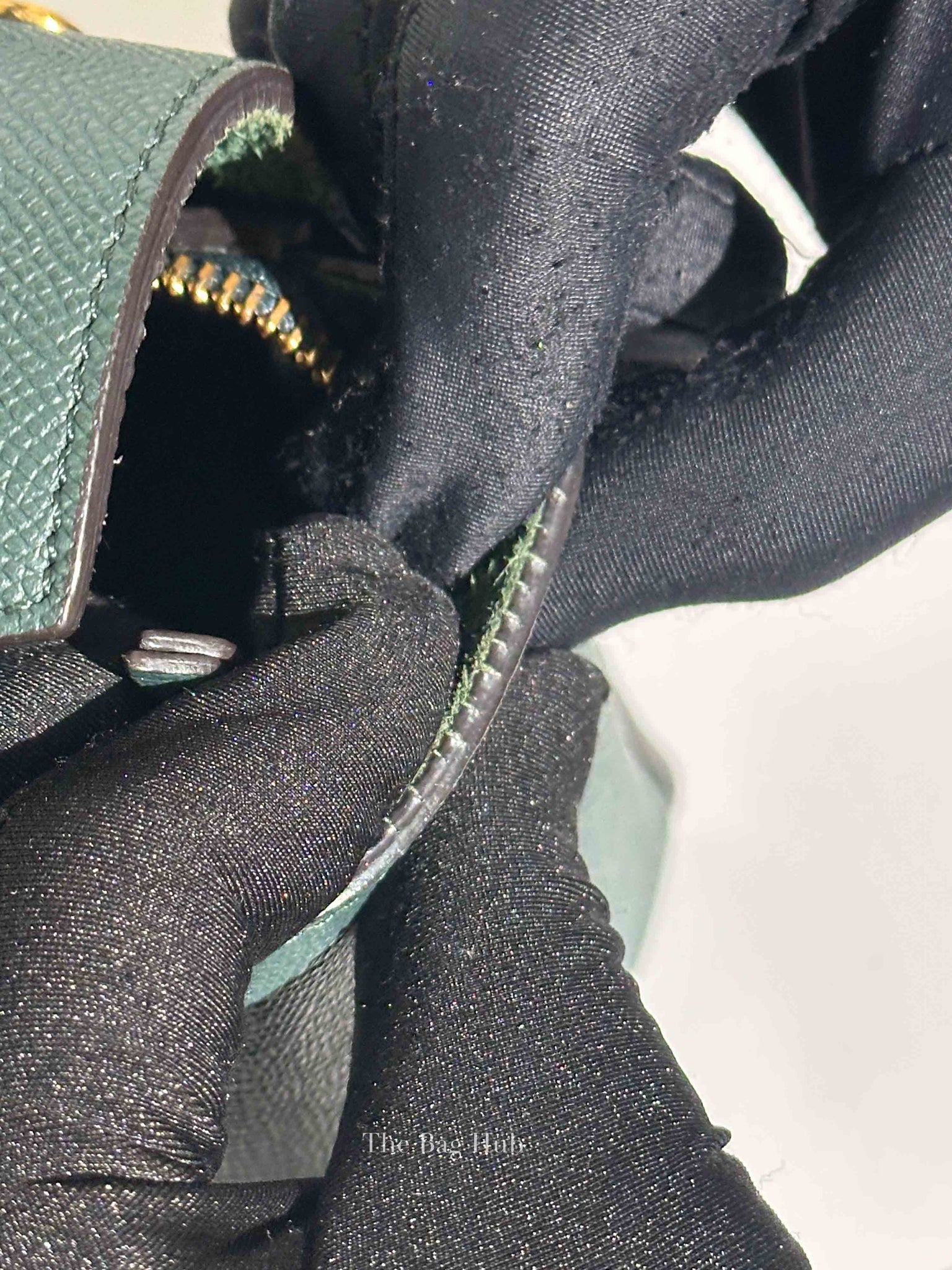 Celine Amazone Grained Calfskin Nano Belt Bag