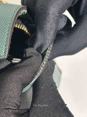 Celine Amazone Grained Calfskin Nano Belt Bag