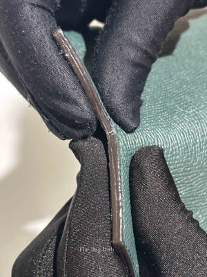 Celine Amazone Grained Calfskin Nano Belt Bag