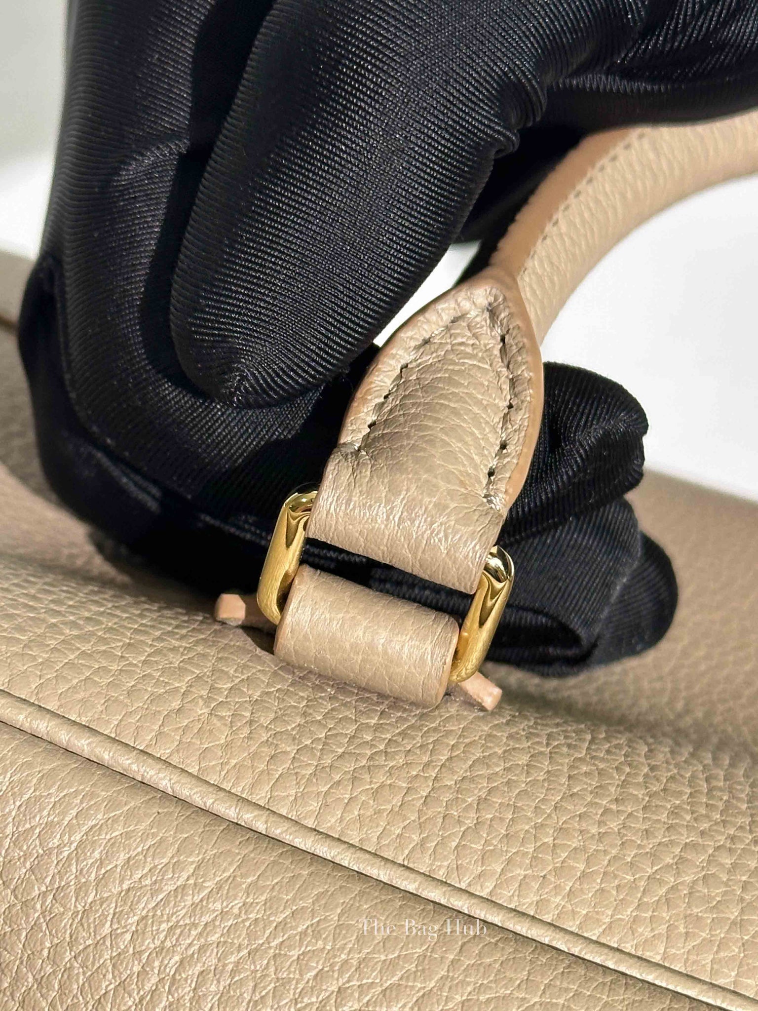 Loewe Sand Soft Grained Calfskin Amazona 23 Bag