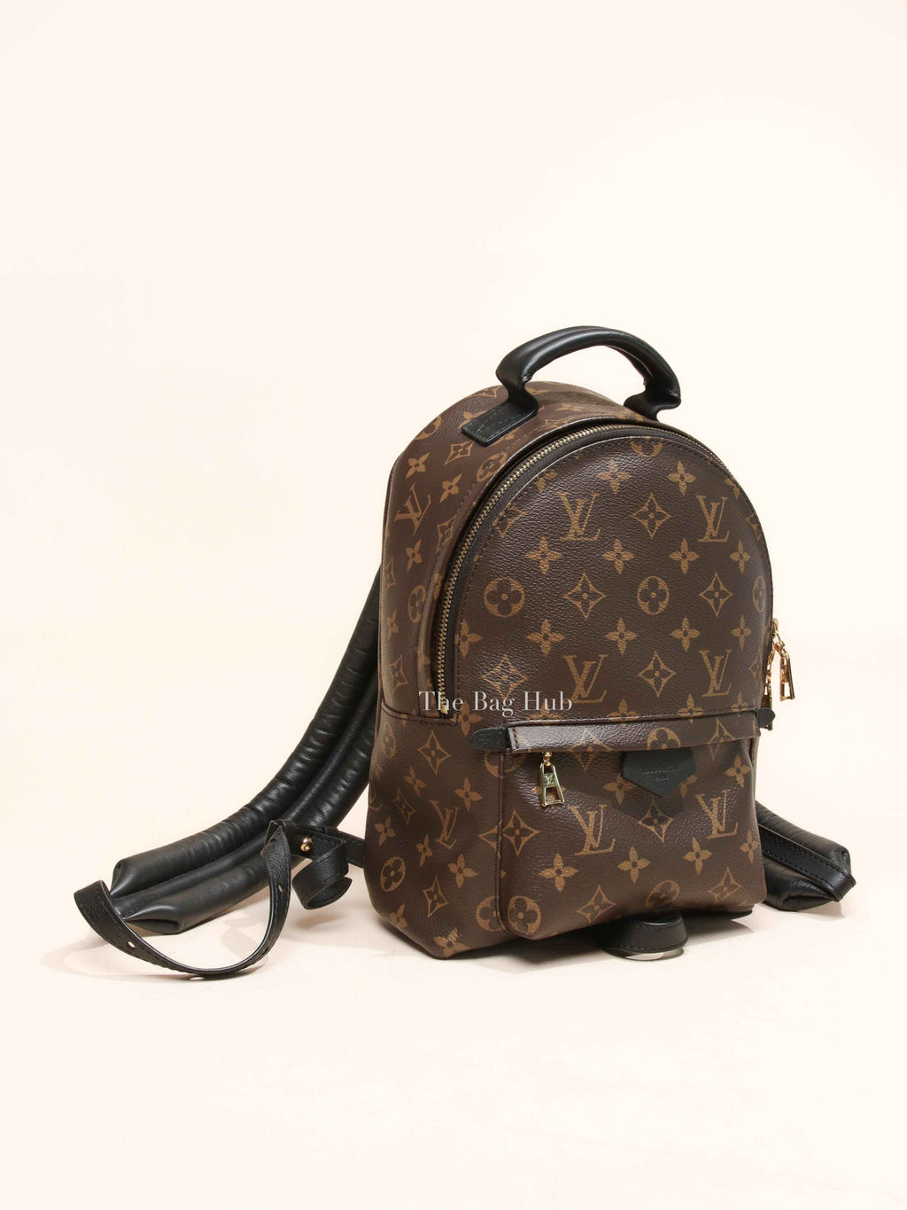 Louis Vuitton Monogram Canvas Palm Springs PM Backpack