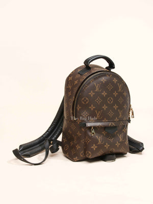 Louis Vuitton Monogram Canvas Palm Springs PM Backpack