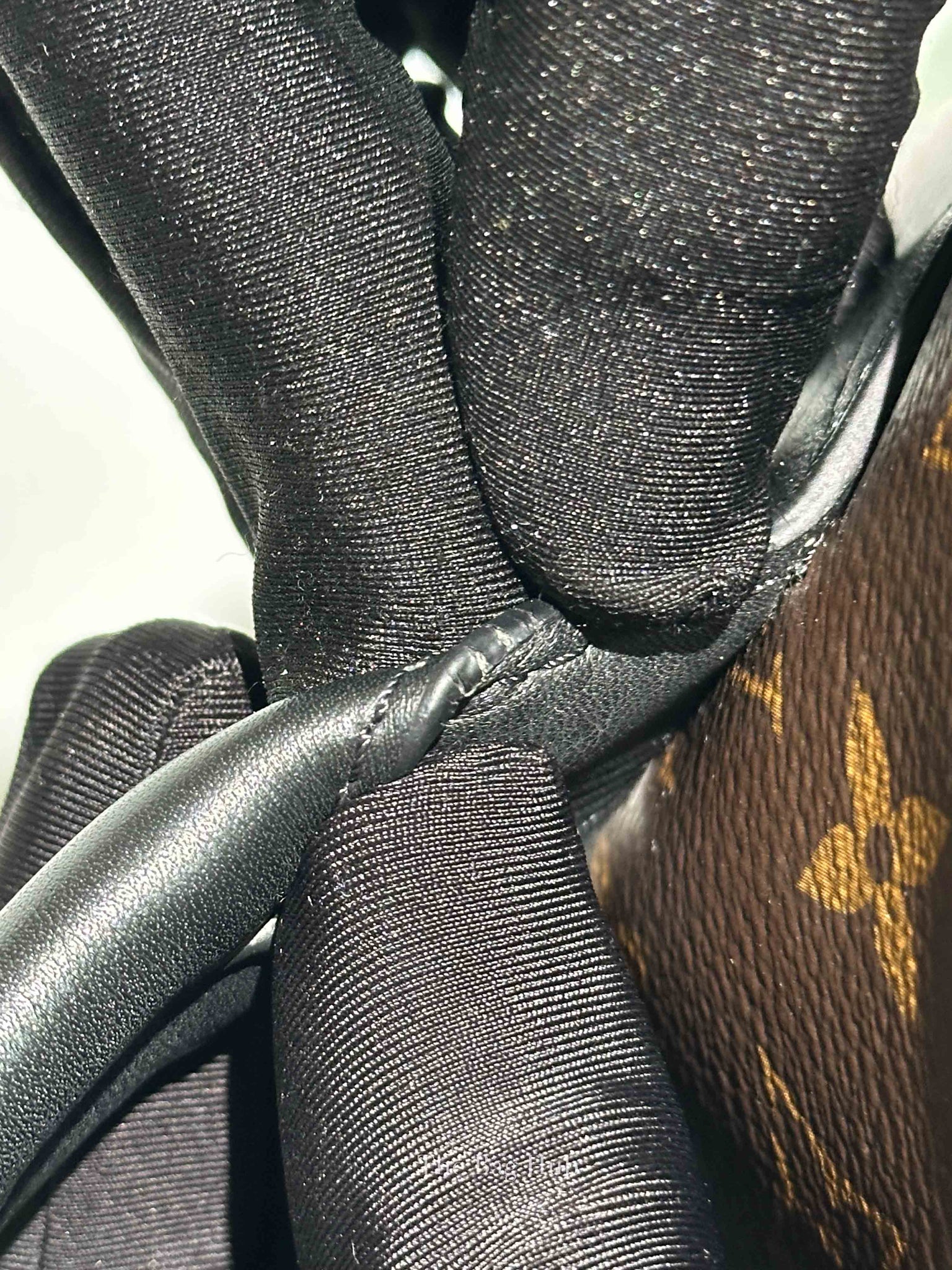 Louis Vuitton Monogram Canvas Palm Springs PM Backpack