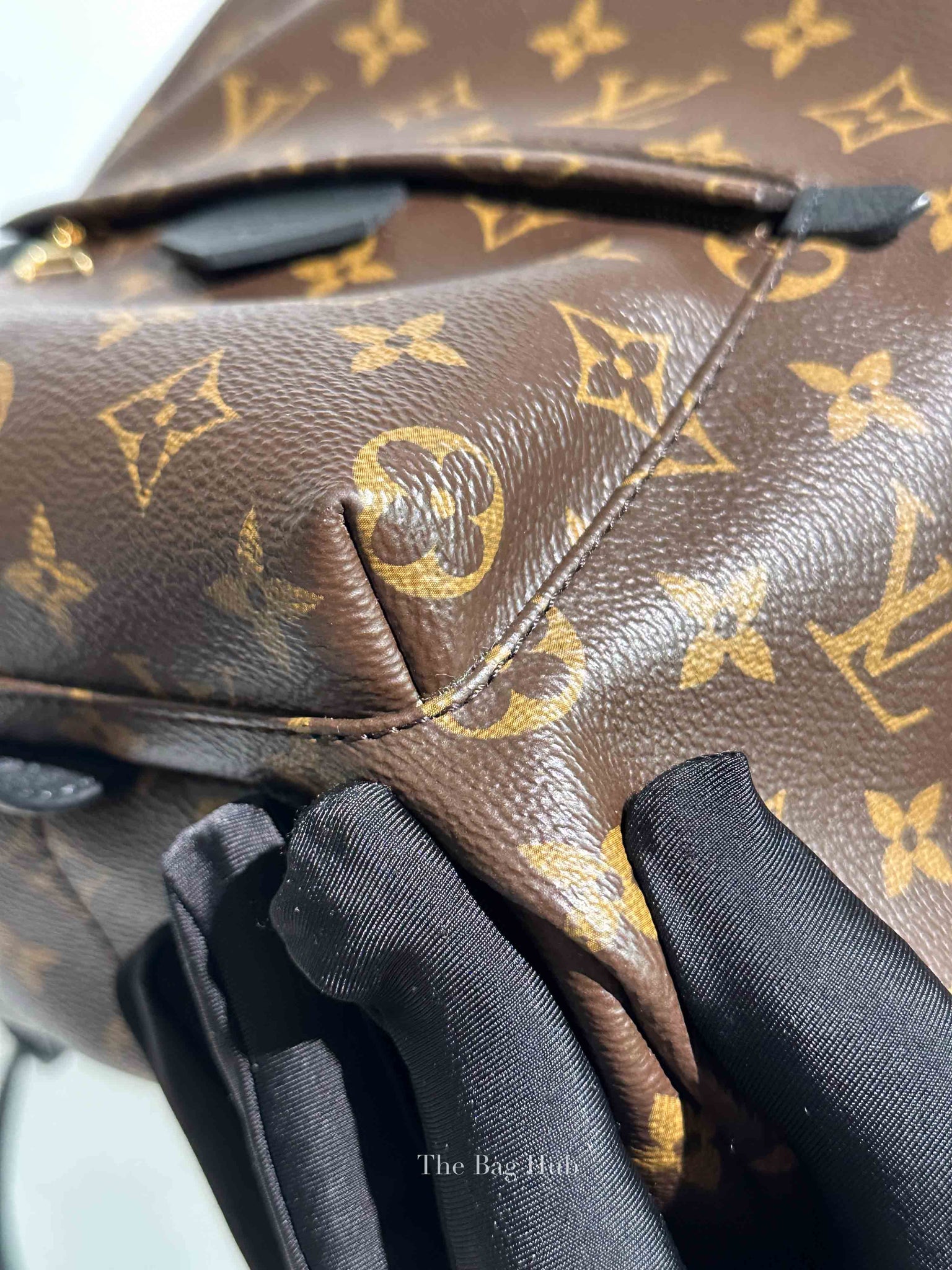 Louis Vuitton Monogram Canvas Palm Springs PM Backpack