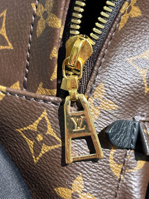 Louis Vuitton Monogram Canvas Palm Springs PM Backpack