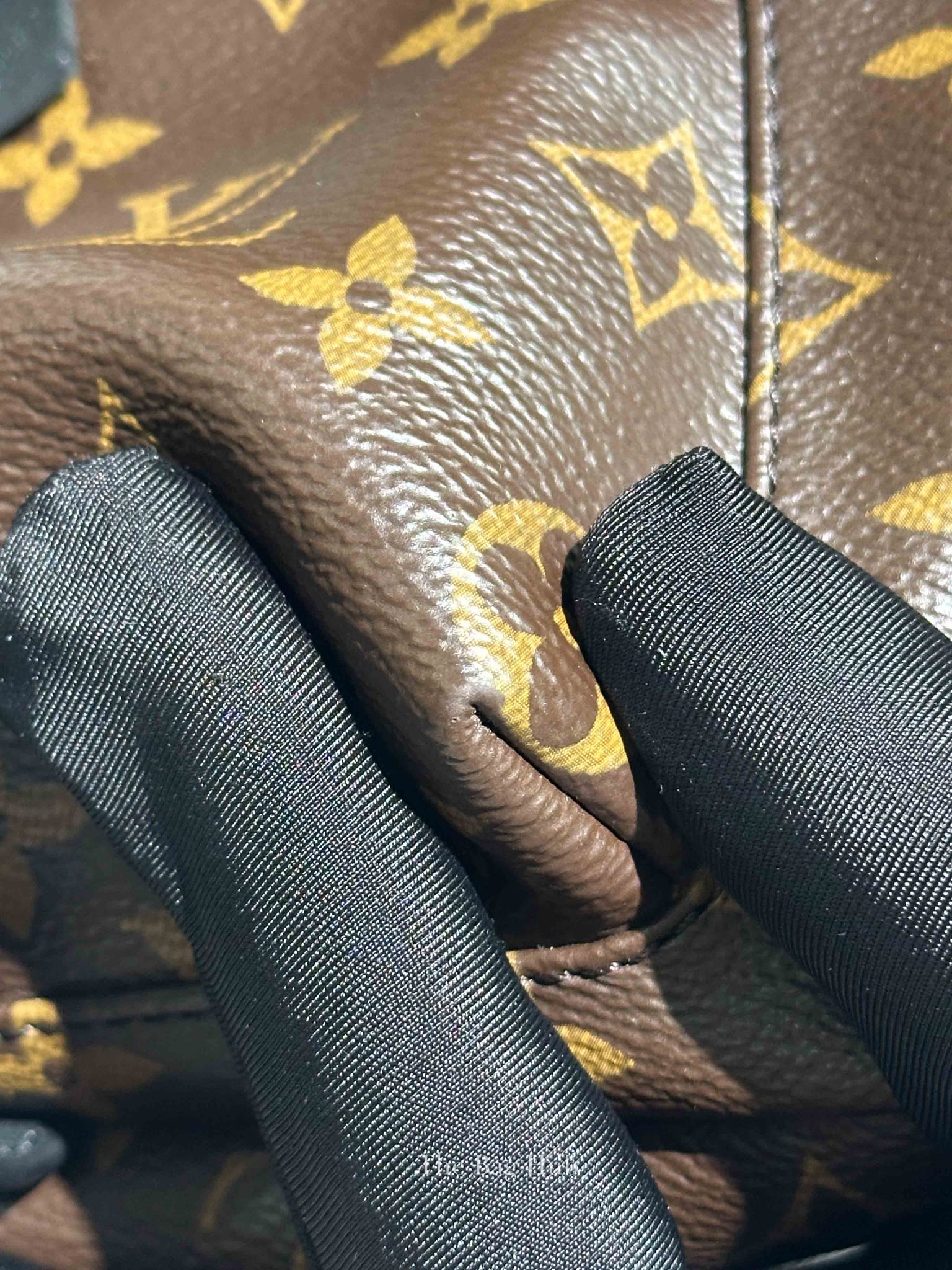 Louis Vuitton Monogram Canvas Palm Springs PM Backpack