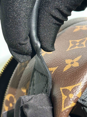 Louis Vuitton Monogram Canvas Palm Springs PM Backpack