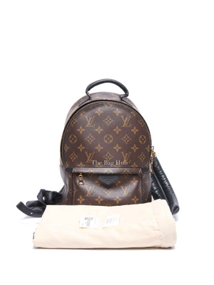 Louis Vuitton Monogram Canvas Palm Springs PM Backpack