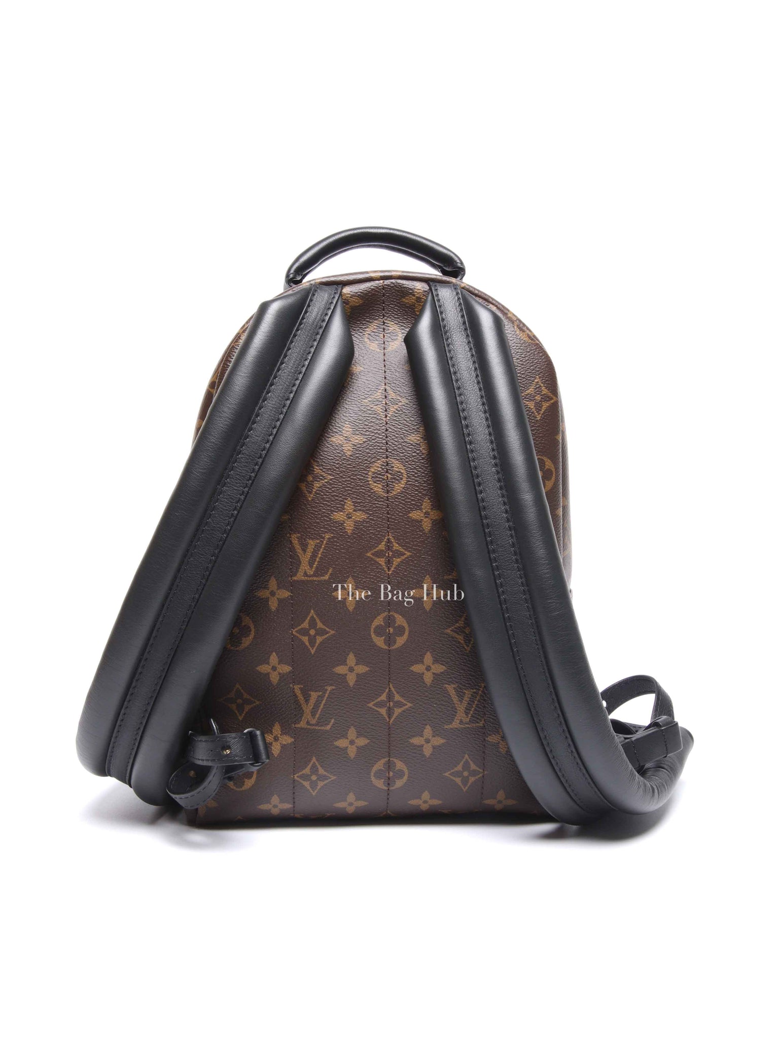 Louis Vuitton Monogram Canvas Palm Springs PM Backpack