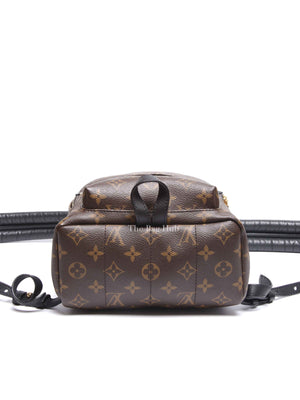 Louis Vuitton Monogram Canvas Palm Springs PM Backpack