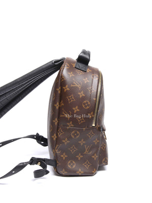Louis Vuitton Monogram Canvas Palm Springs PM Backpack