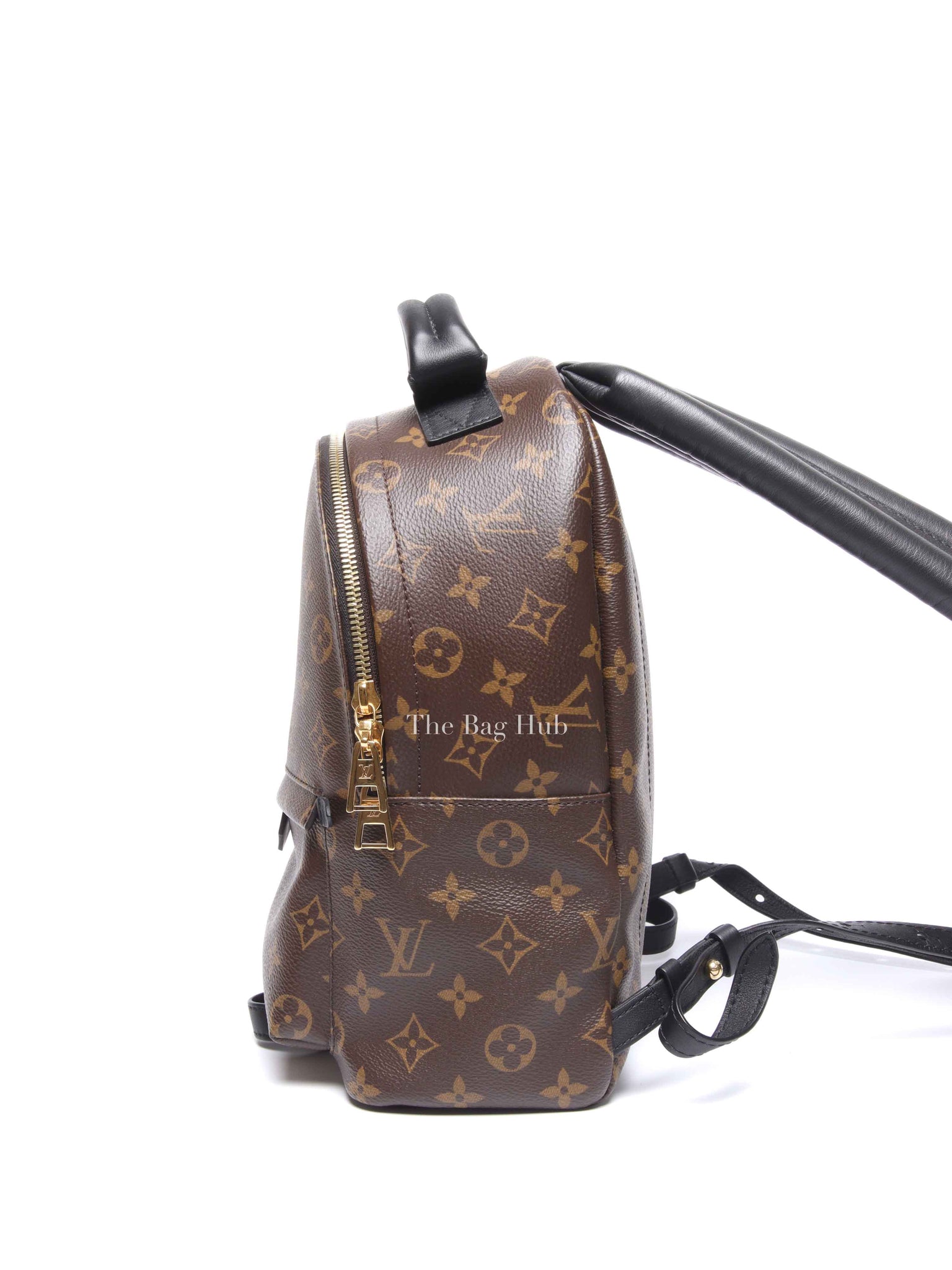 Louis Vuitton Monogram Canvas Palm Springs PM Backpack
