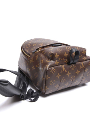 Louis Vuitton Monogram Canvas Palm Springs PM Backpack