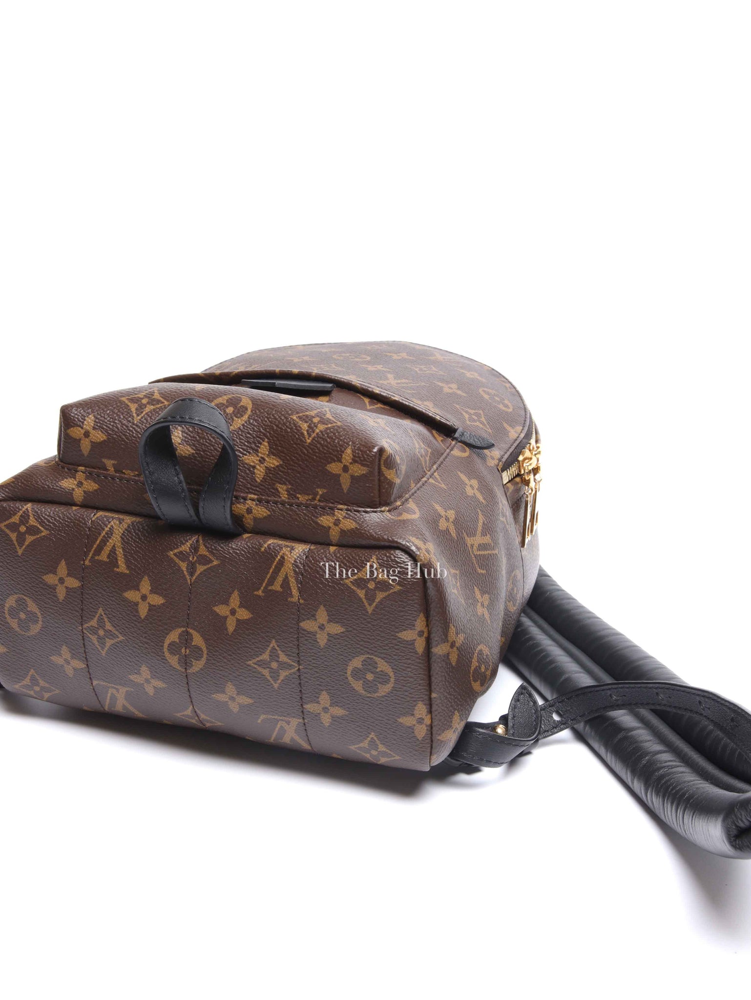 Louis Vuitton Monogram Canvas Palm Springs PM Backpack
