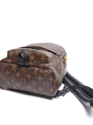 Louis Vuitton Monogram Canvas Palm Springs PM Backpack