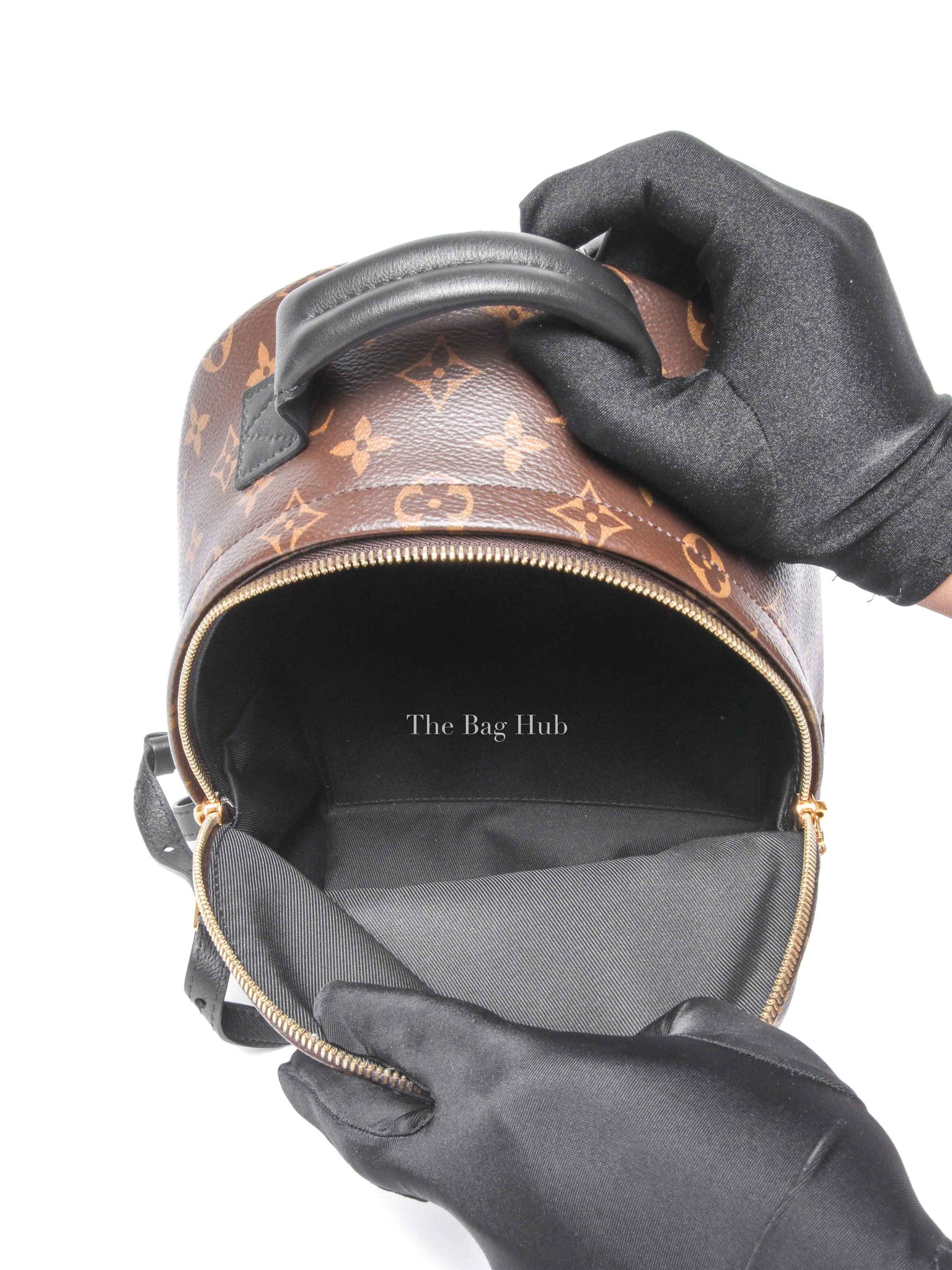 Louis Vuitton Monogram Canvas Palm Springs PM Backpack