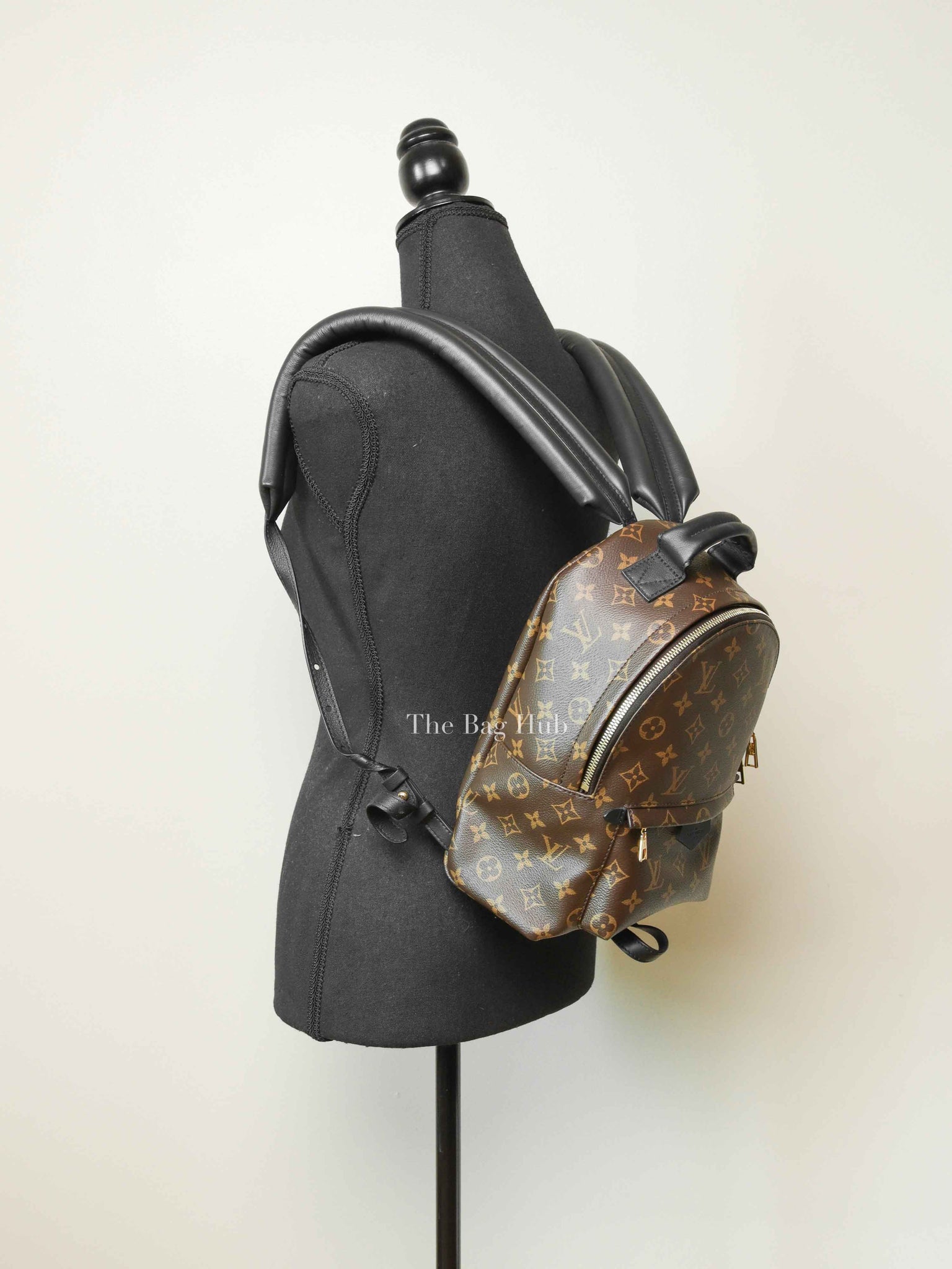 Louis Vuitton Monogram Canvas Palm Springs PM Backpack