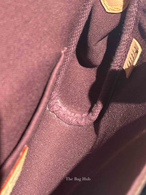 Louis Vuitton Brown Monogram Canvas Favorite MM Bag