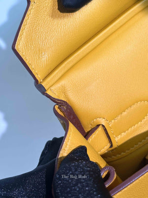 Hermes Soleil Swift Leather Birkin 30 Bag PHW
