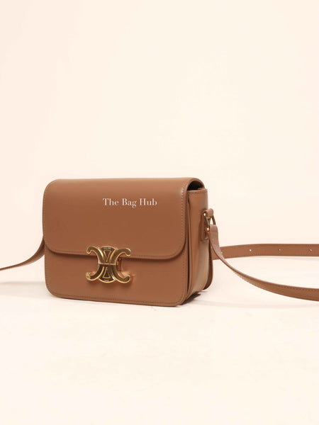 Celine Bronze Shiny Calfskin Teen Triomphe Bag Designer Brand