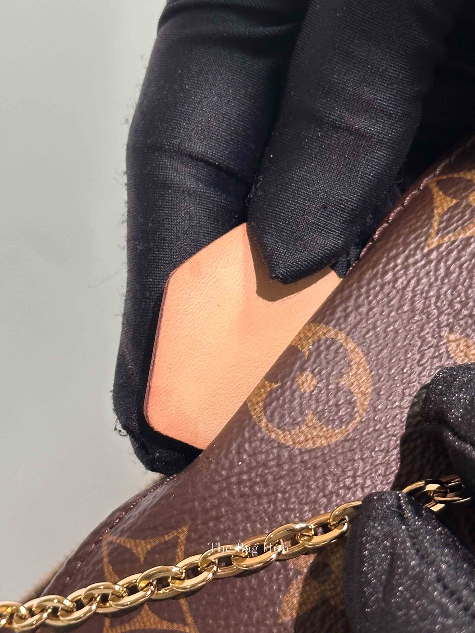 Louis Vuitton Brown Monogram Canvas Multi Pochette Accessoires Bag