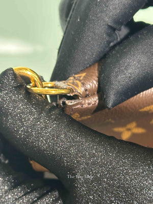 Louis Vuitton Brown Monogram Canvas Multi Pochette Accessoires Bag