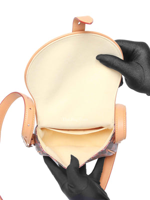 Louis Vuitton Rose Monogram Canvas LV Pop Tambourin Bag