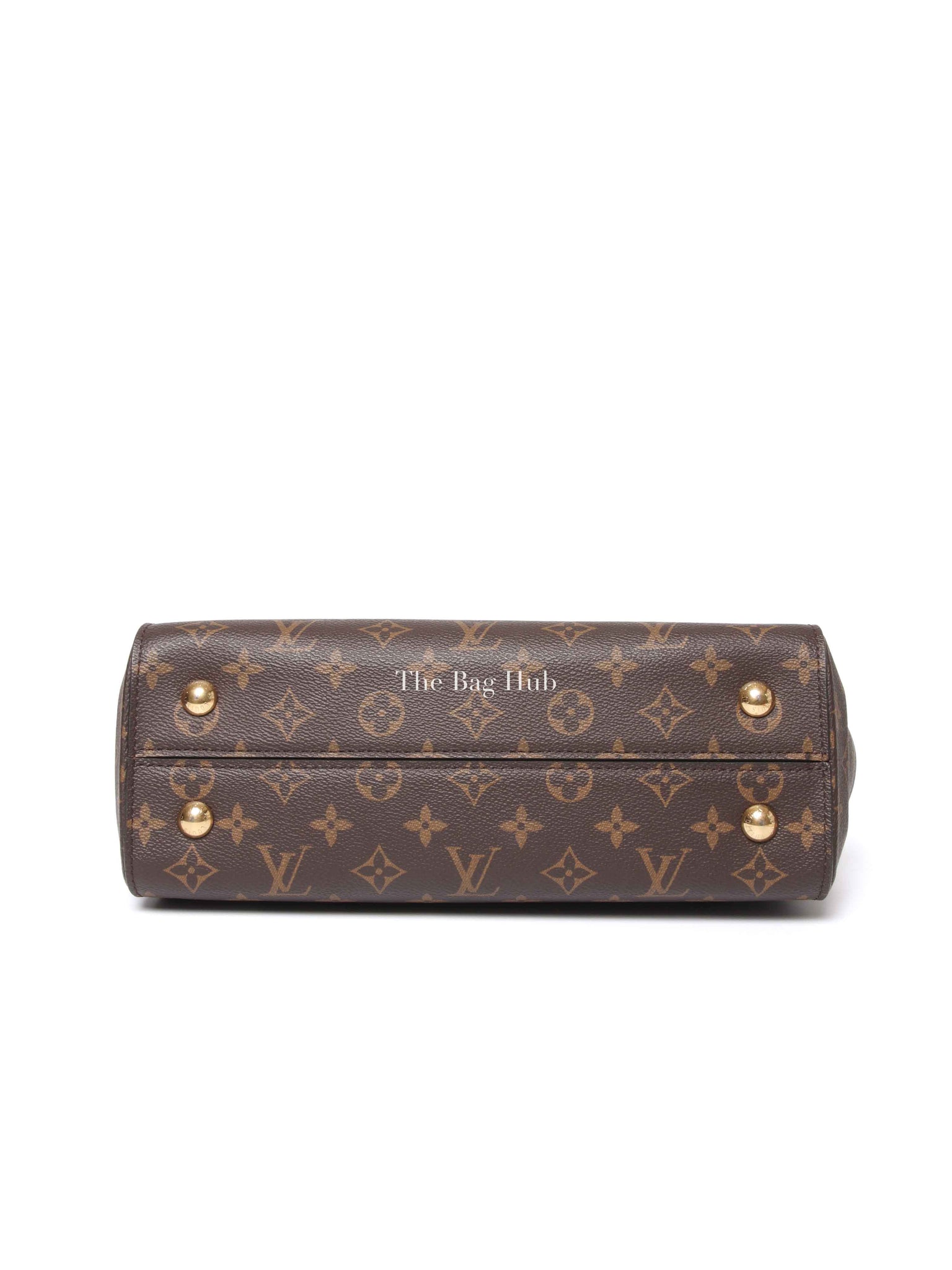 Louis Vuitton Brown Monogram Canvas Cluny MM Bag