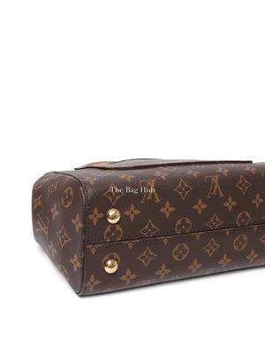 Louis Vuitton Brown Monogram Canvas Cluny MM Bag