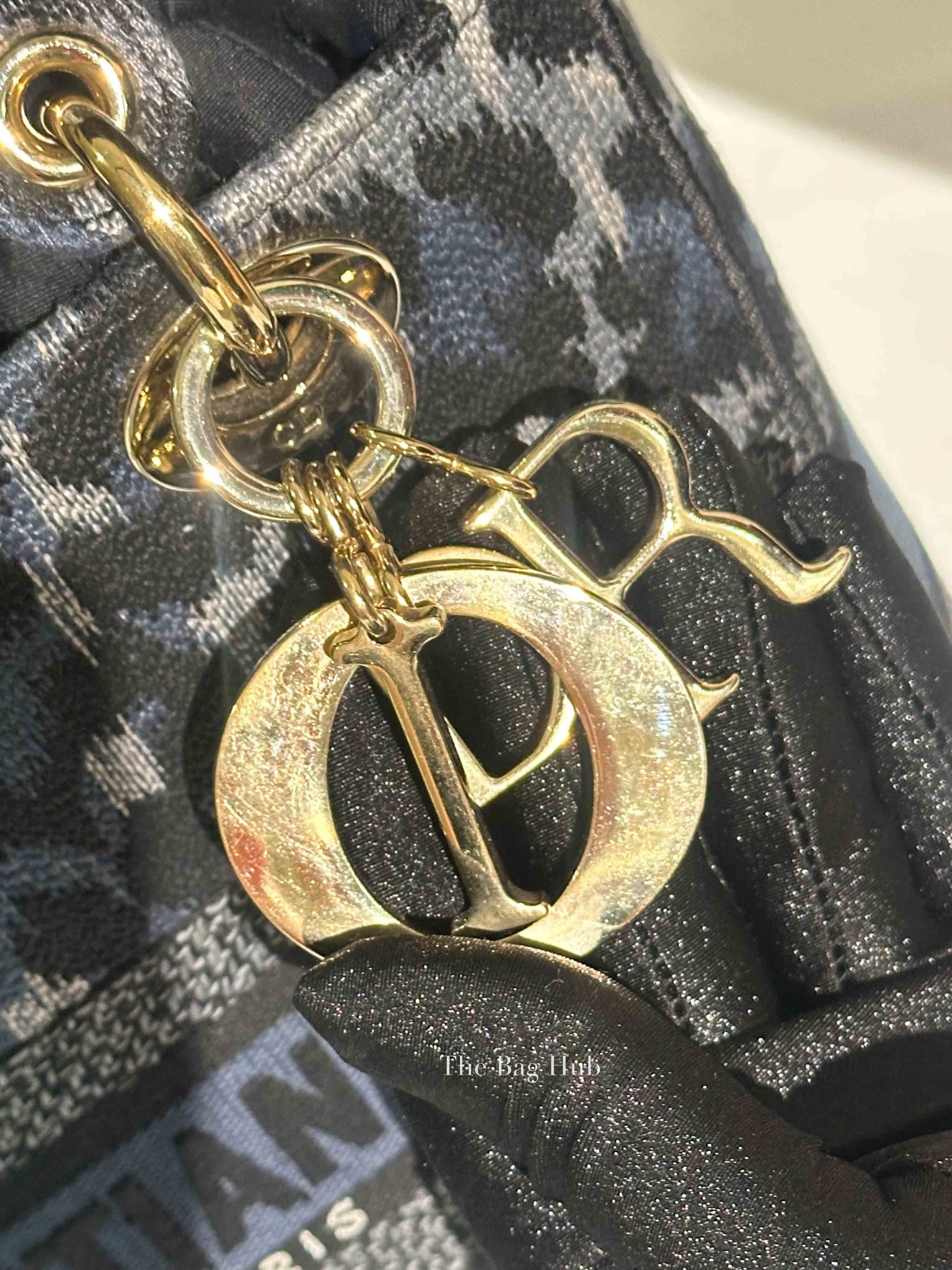 Dior Blue Canvas Mizza Embroidered Medium Lady D-Lite Bag