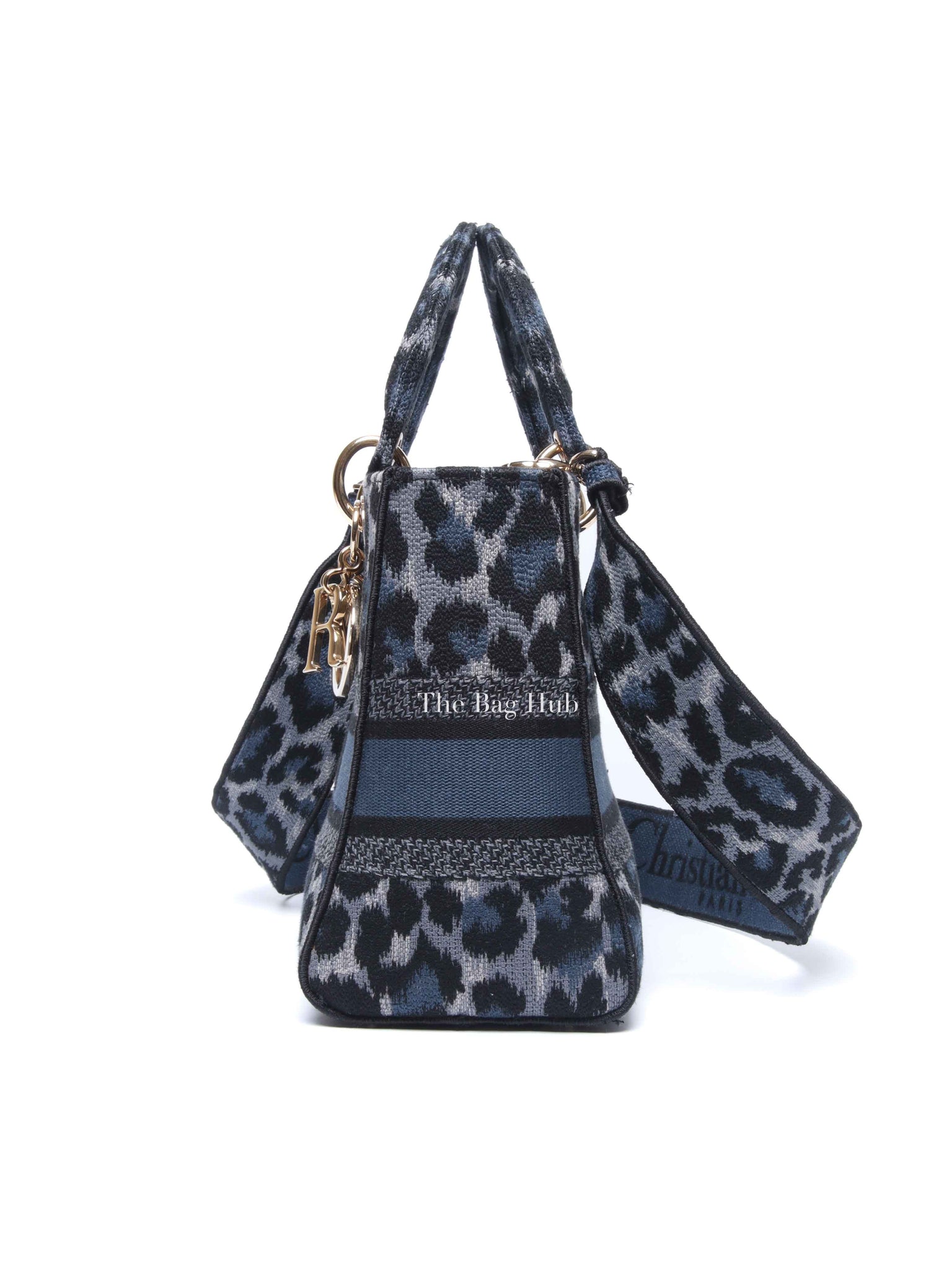 Dior Blue Canvas Mizza Embroidered Medium Lady D-Lite Bag