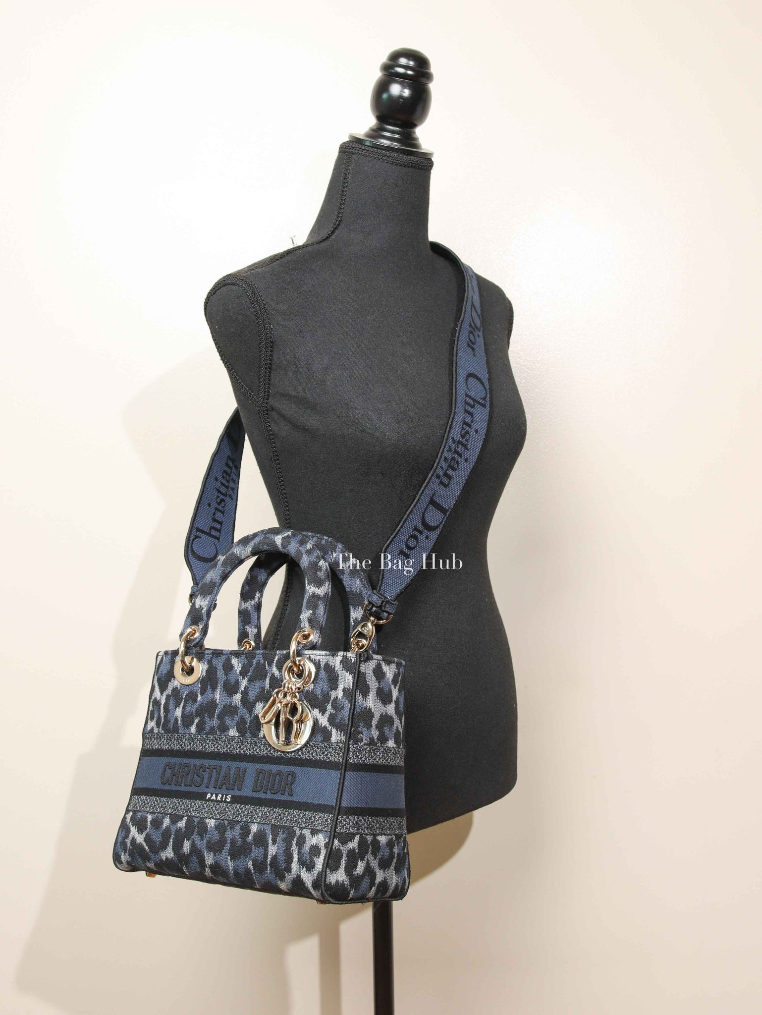 Dior Blue Canvas Mizza Embroidered Medium Lady D-Lite Bag
