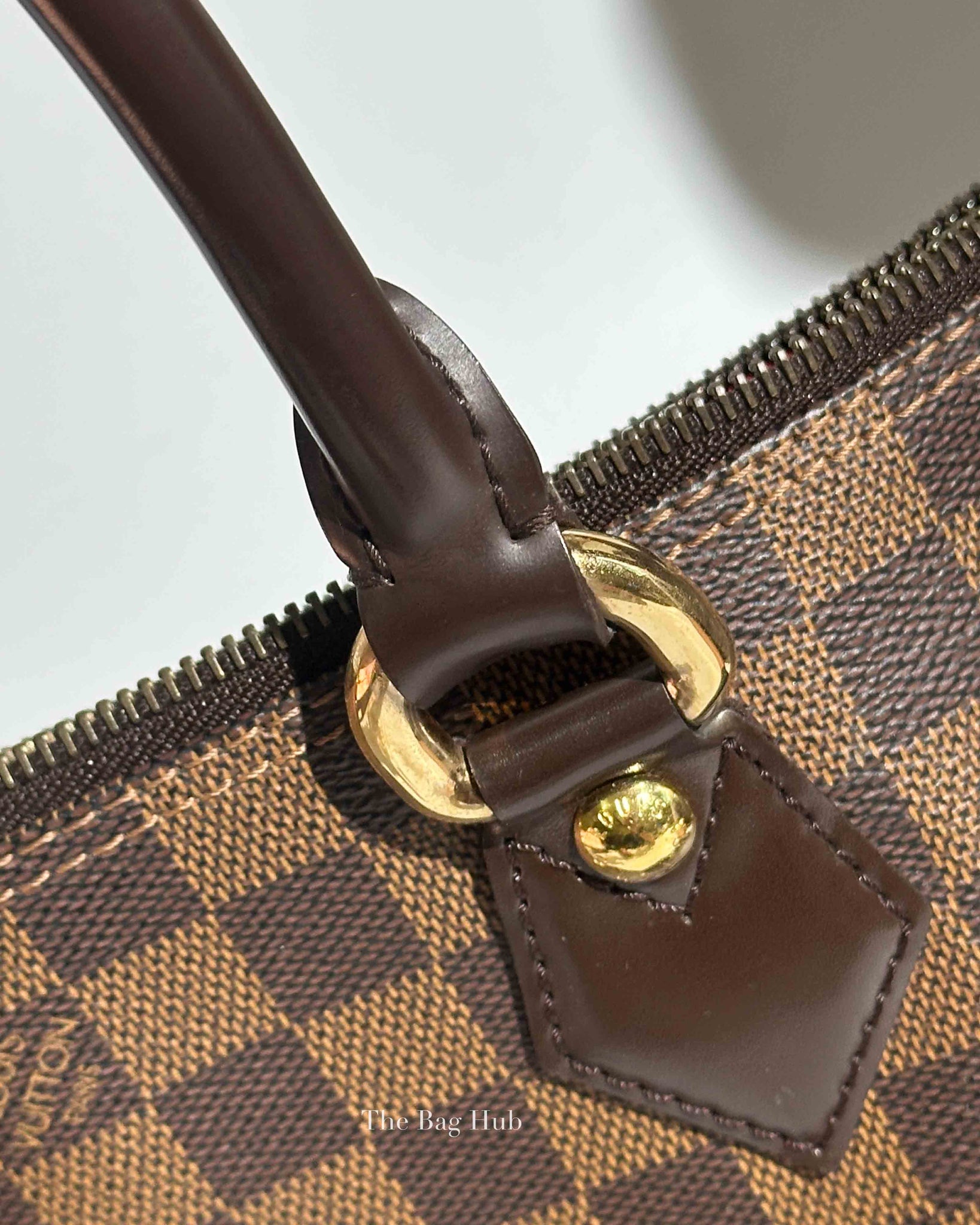 Louis Vuitton Damier Ebene Canvas Saleya PM Bag