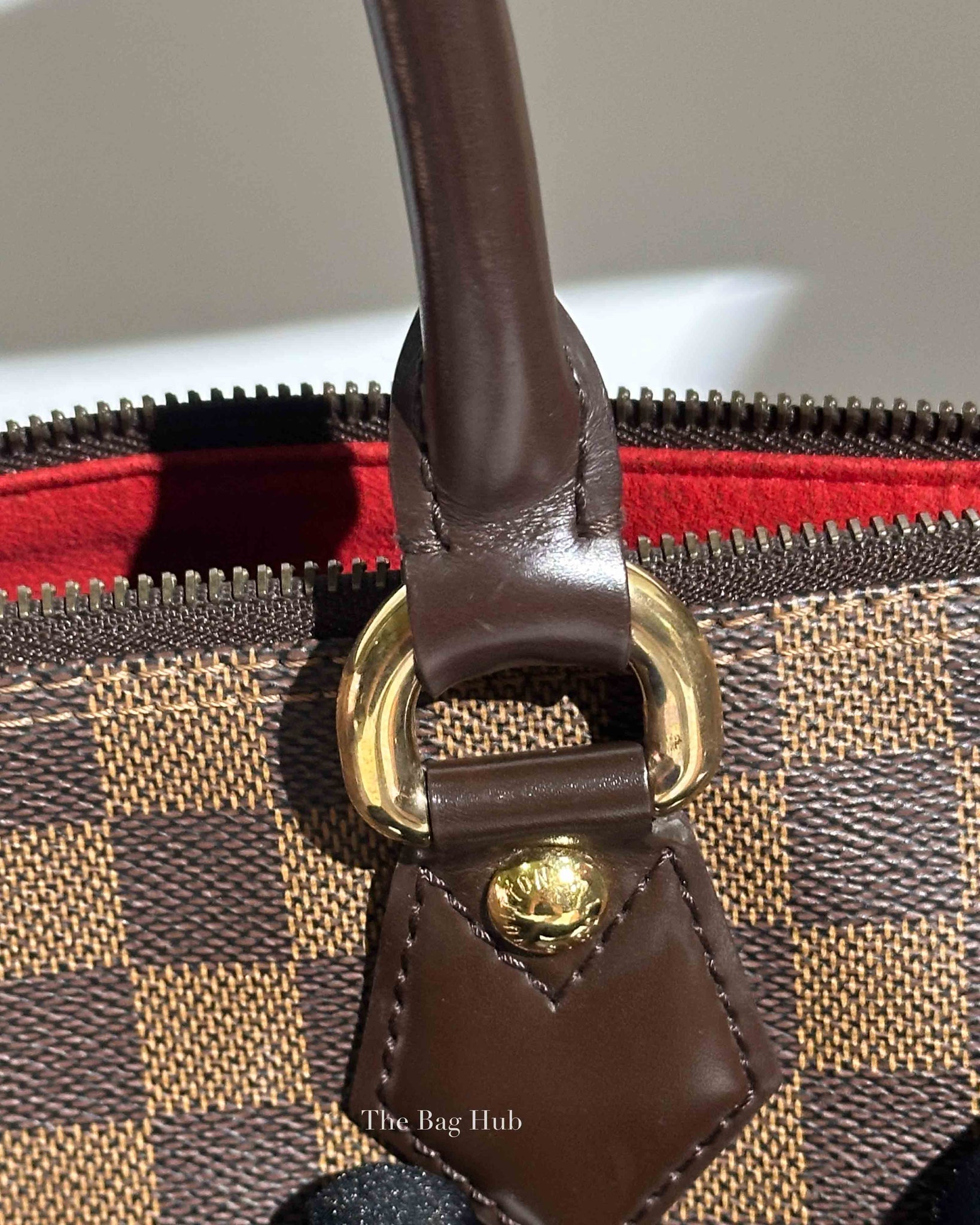 Louis Vuitton Damier Ebene Canvas Saleya PM Bag