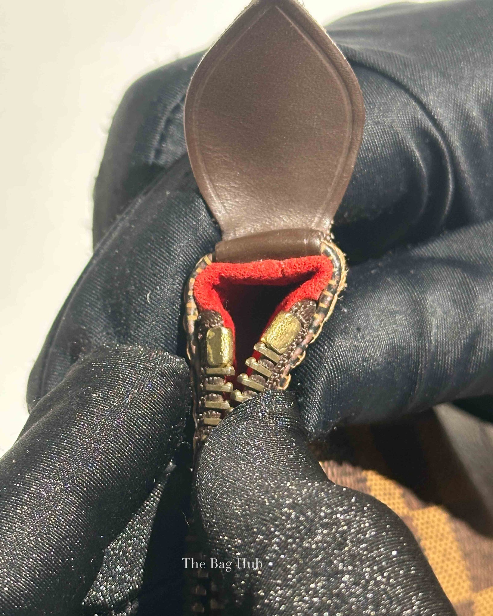 Louis Vuitton Damier Ebene Canvas Saleya PM Bag