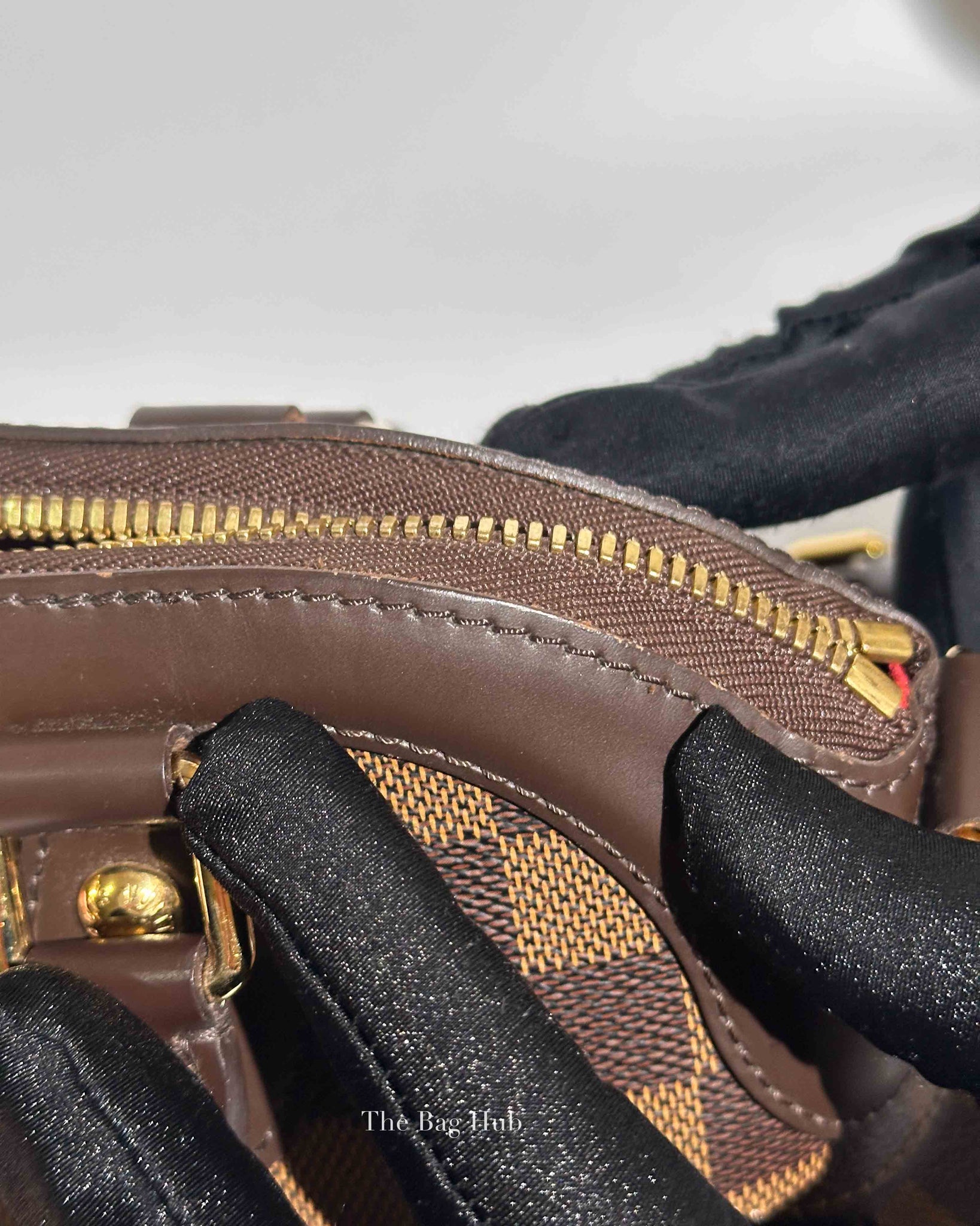 Louis Vuitton Damier Ebene Canvas Trevi PM Bag