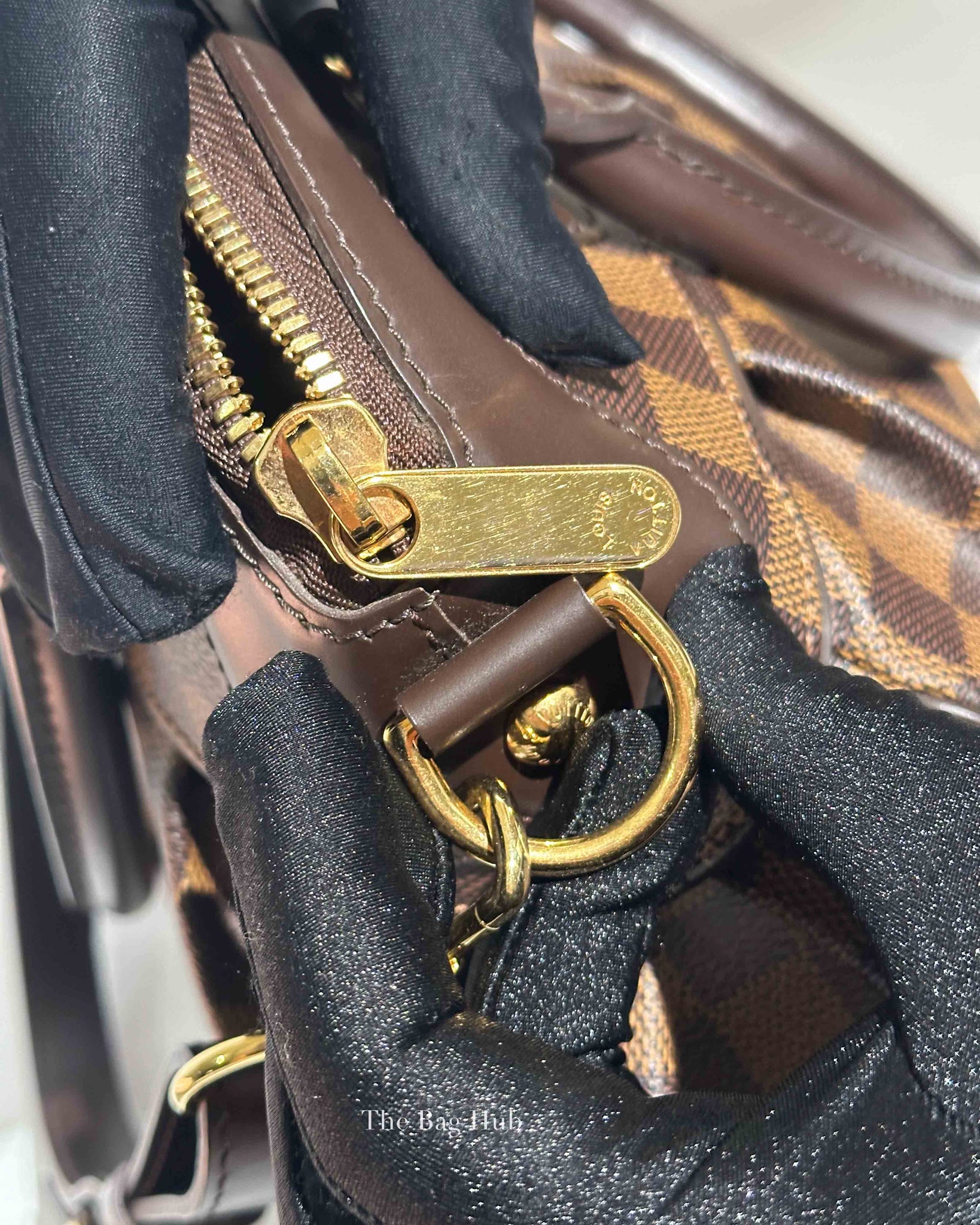 Louis Vuitton Damier Ebene Canvas Trevi PM Bag