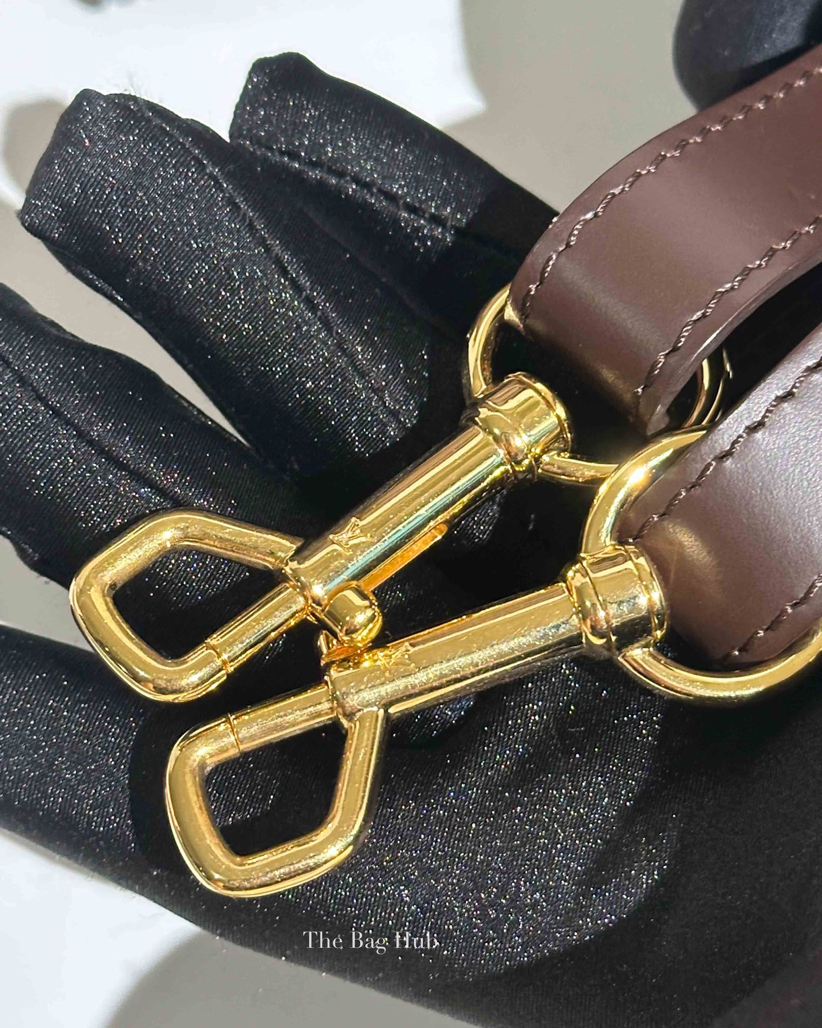 Louis Vuitton Damier Ebene Canvas Trevi PM Bag