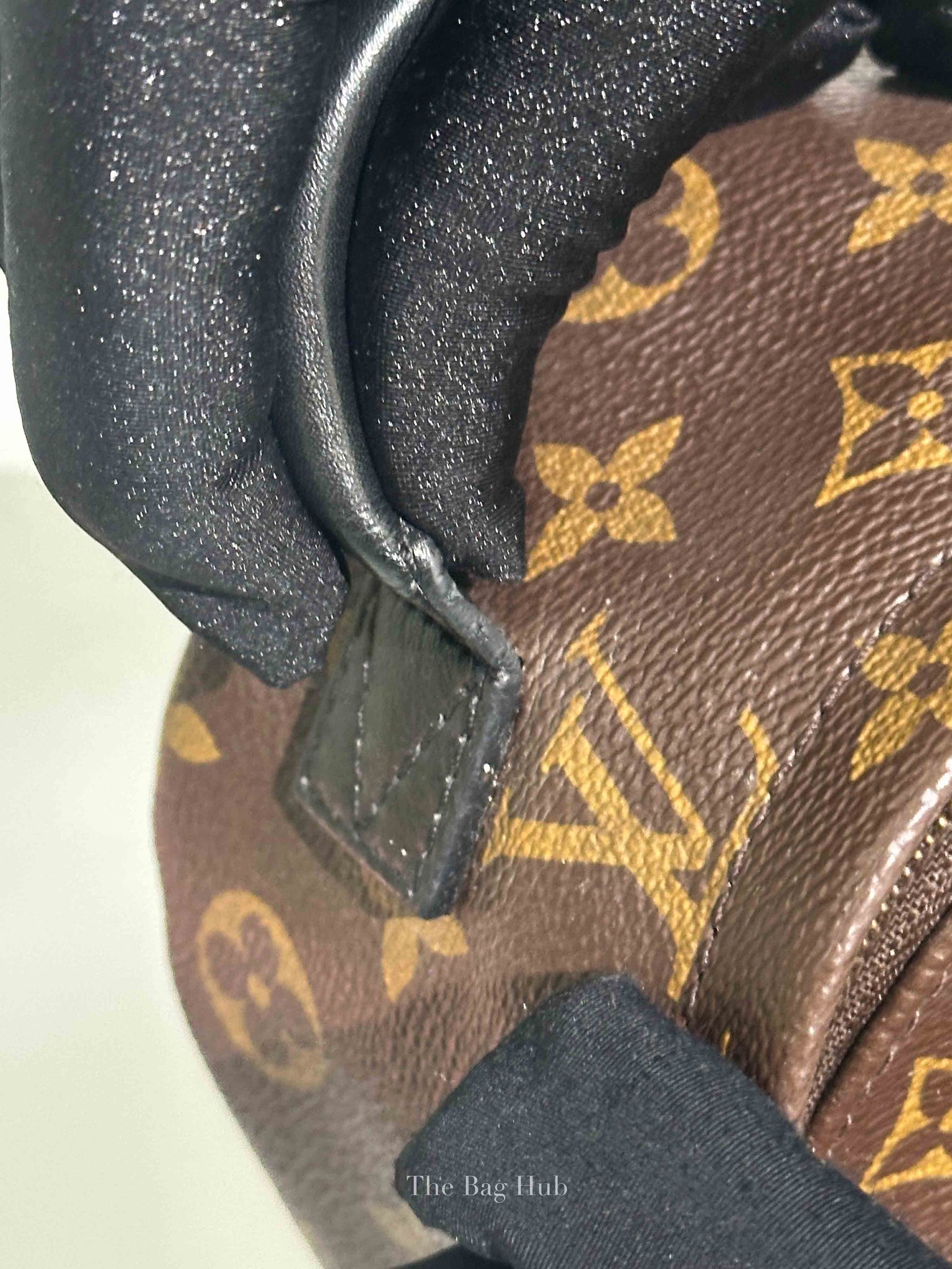 Louis Vuitton Monogram Canvas Mini Palm Springs Backpack