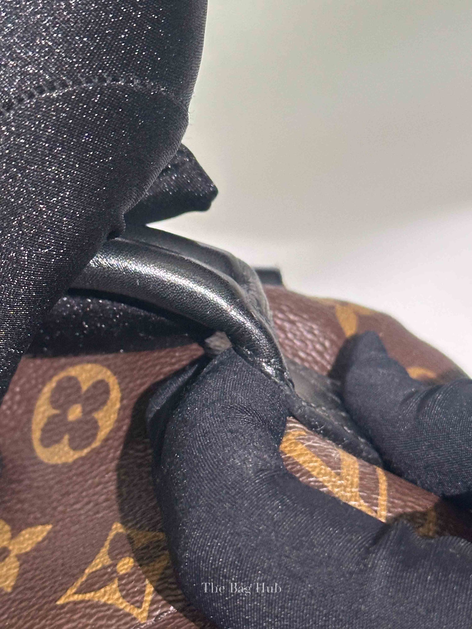 Louis Vuitton Monogram Canvas Mini Palm Springs Backpack