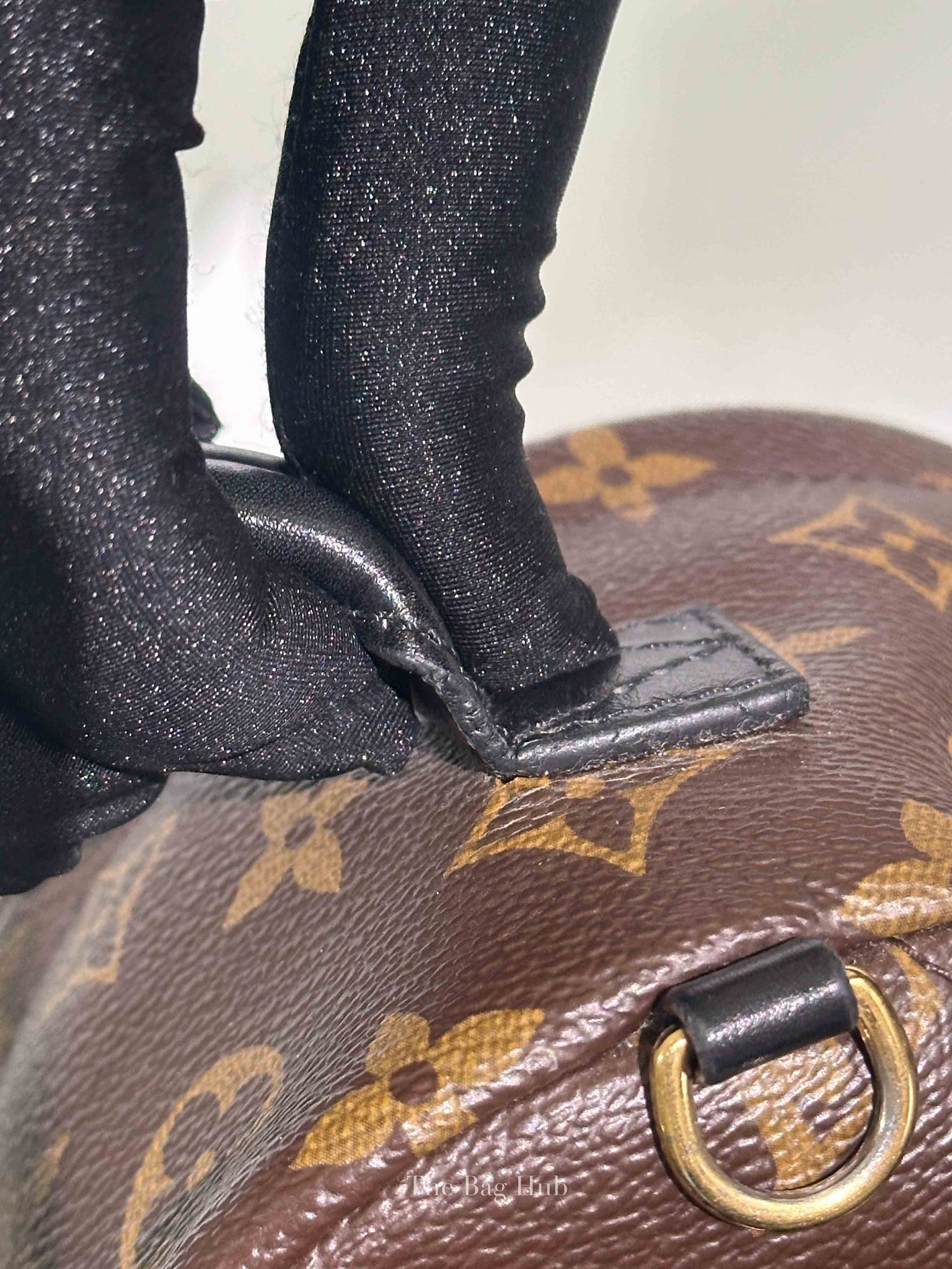 Louis Vuitton Monogram Canvas Mini Palm Springs Backpack