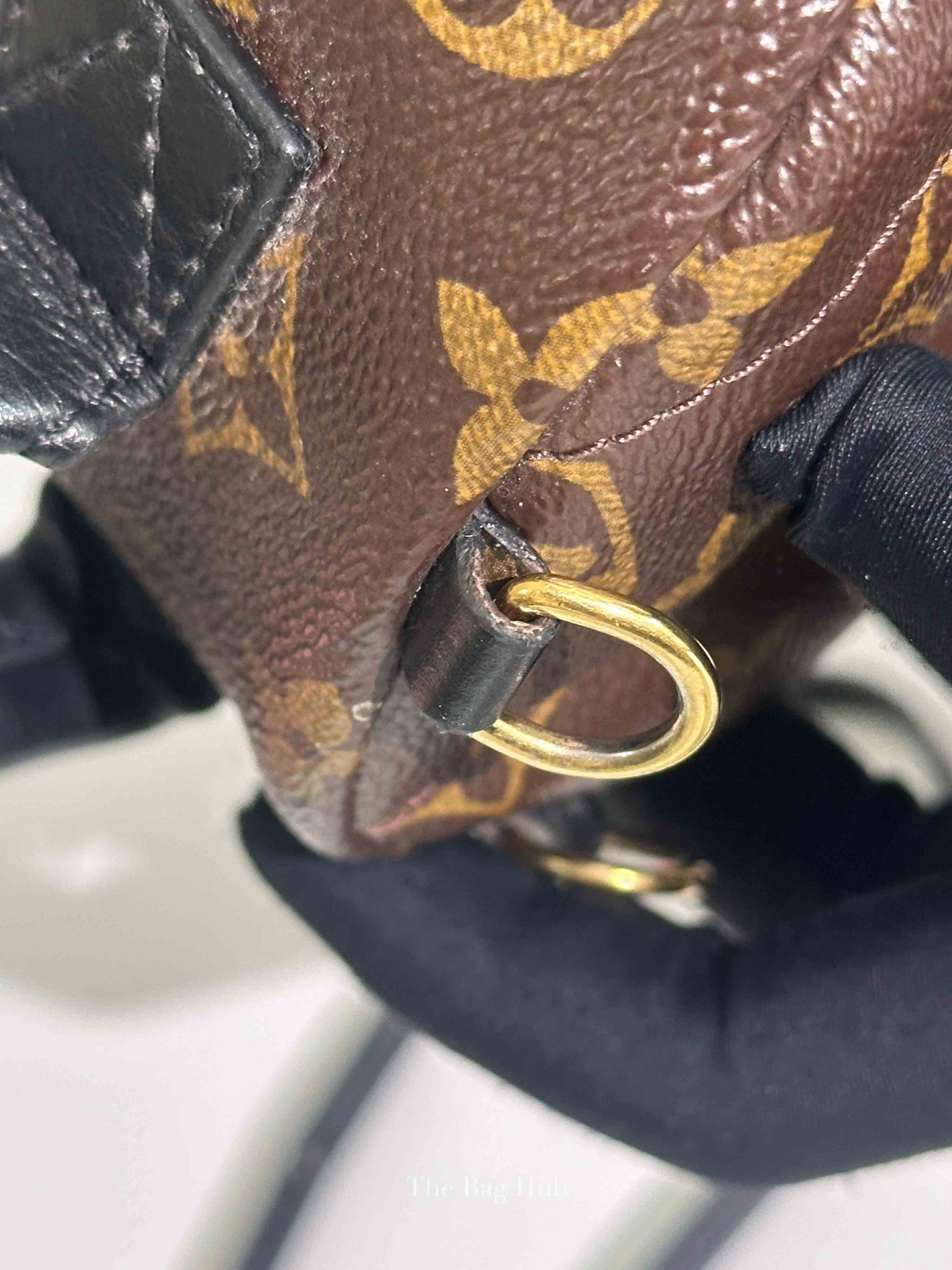 Louis Vuitton Monogram Canvas Mini Palm Springs Backpack