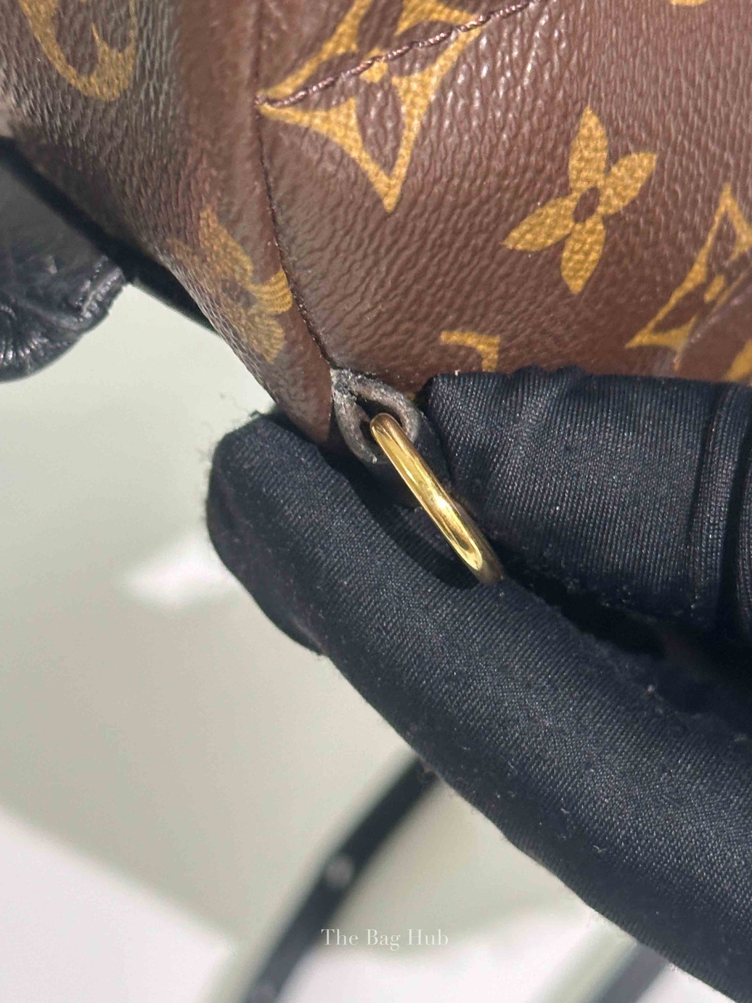 Louis Vuitton Monogram Canvas Mini Palm Springs Backpack