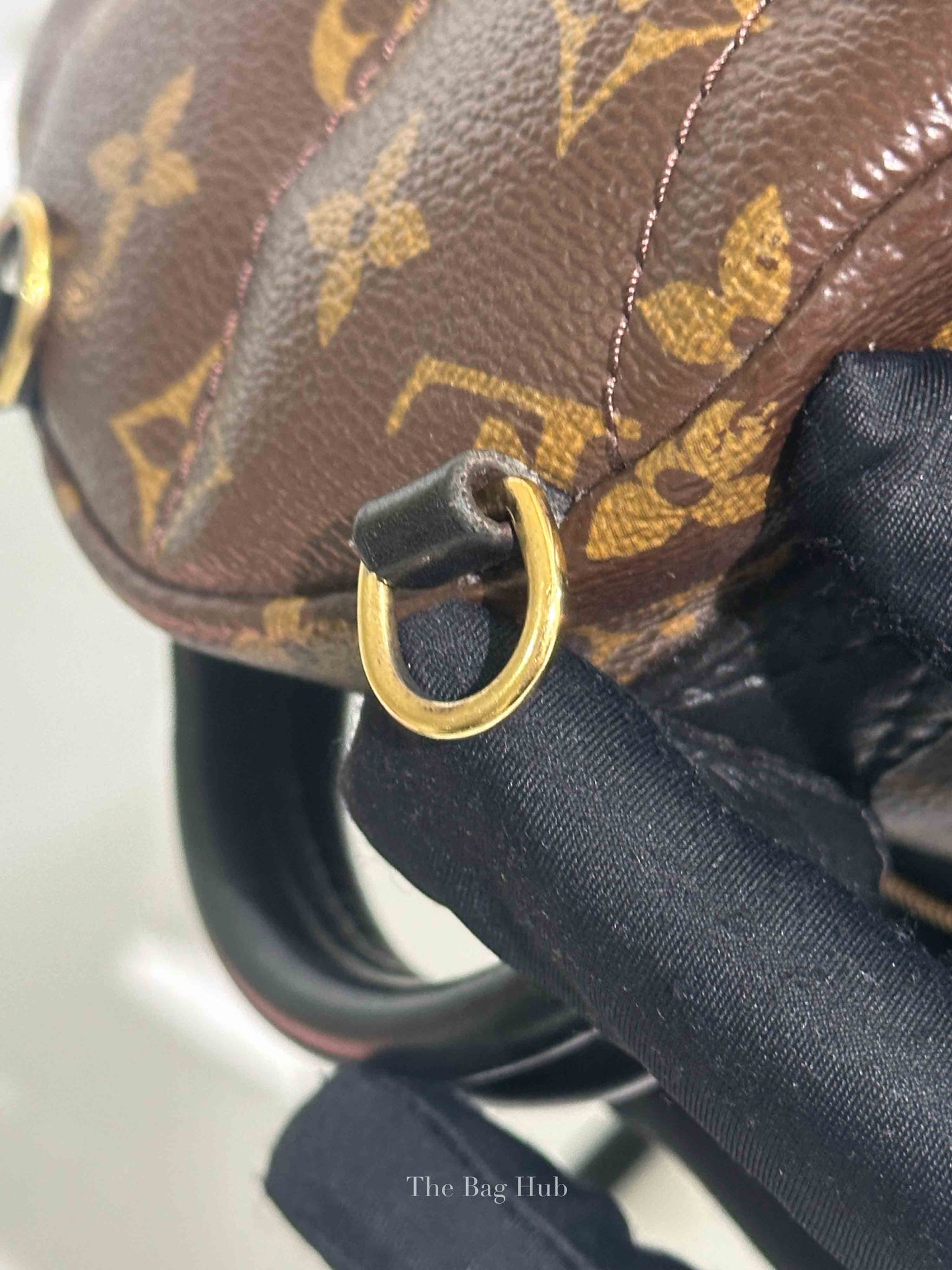 Louis Vuitton Monogram Canvas Mini Palm Springs Backpack