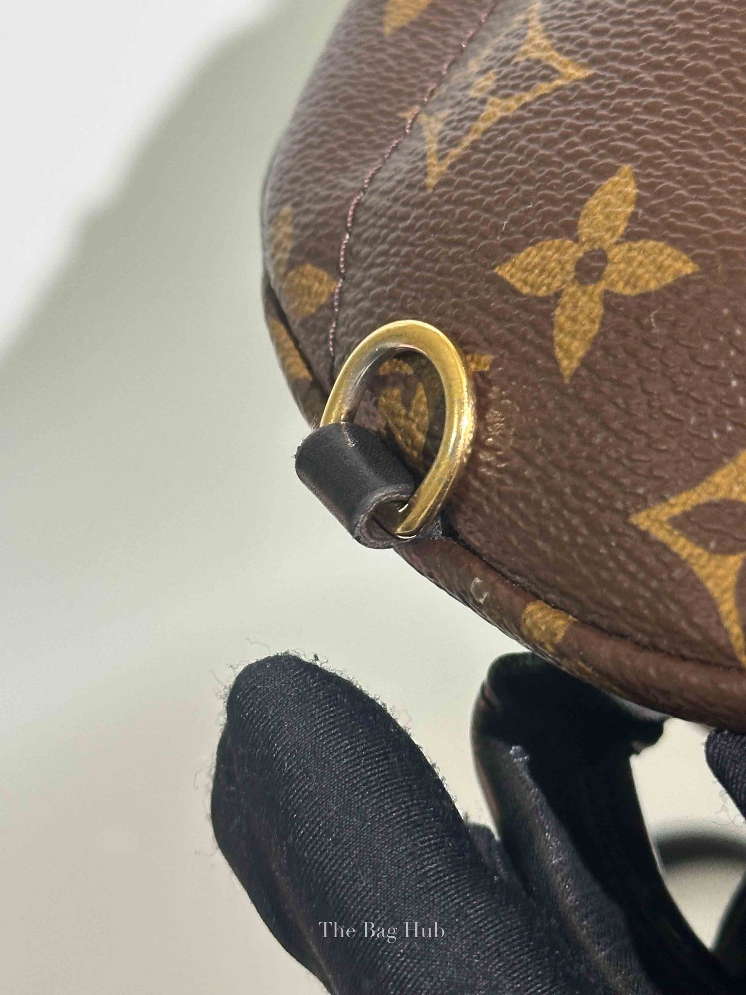 Louis Vuitton Monogram Canvas Mini Palm Springs Backpack