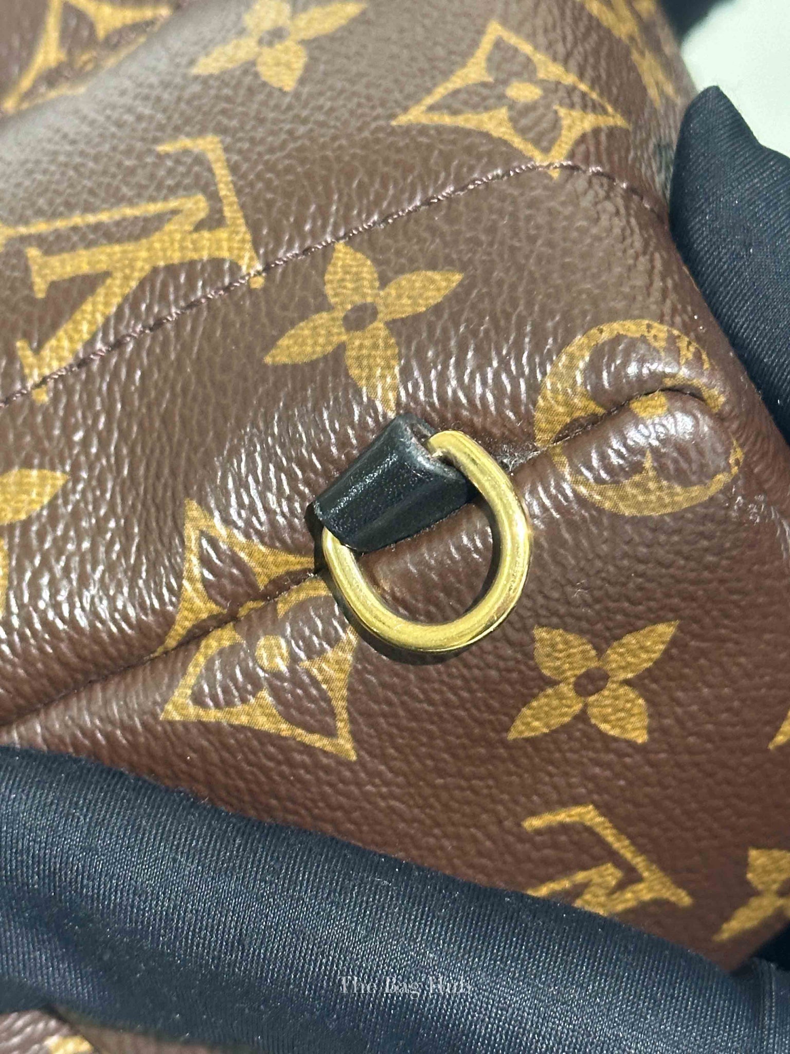 Louis Vuitton Monogram Canvas Mini Palm Springs Backpack