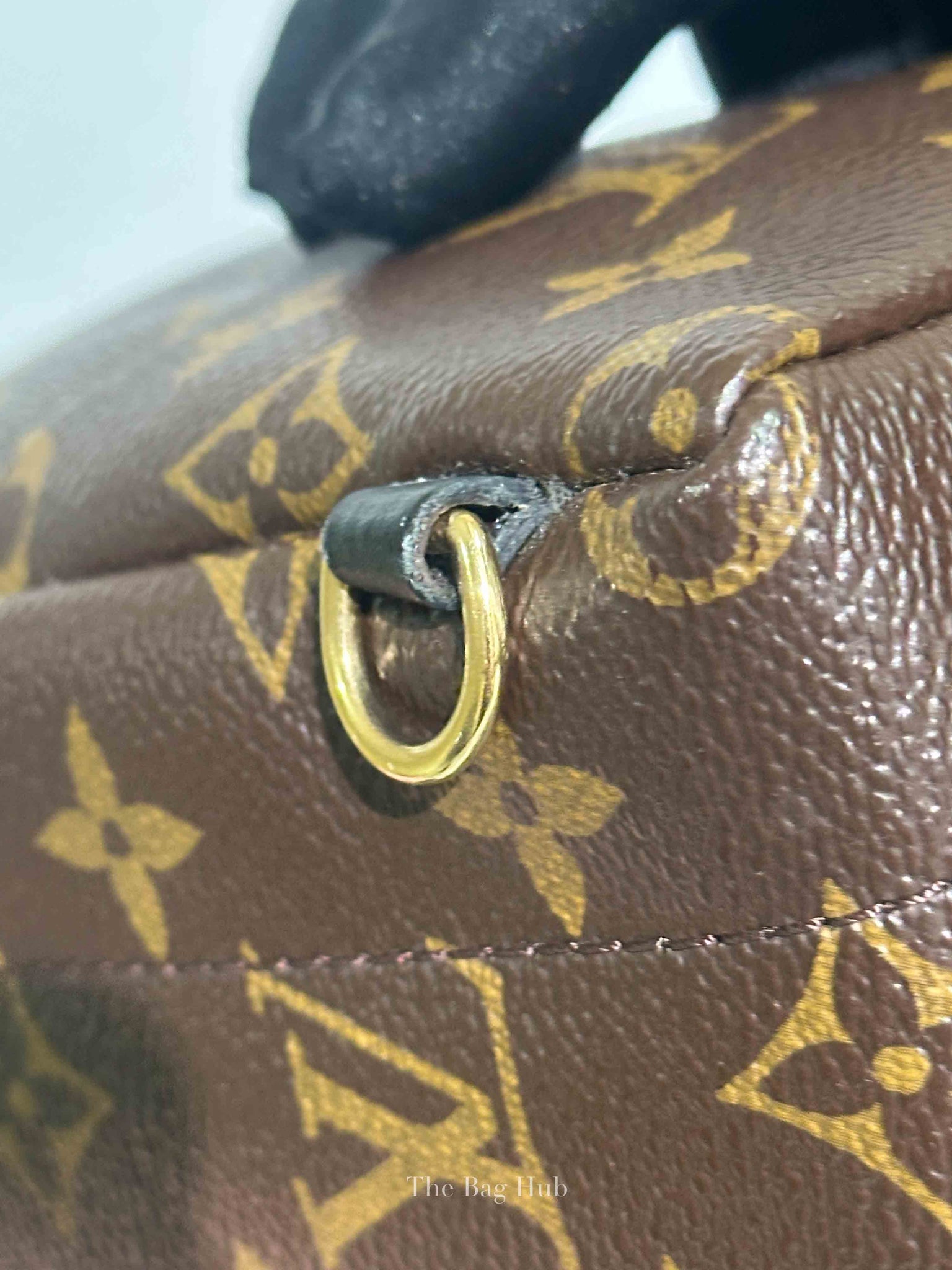 Louis Vuitton Monogram Canvas Mini Palm Springs Backpack