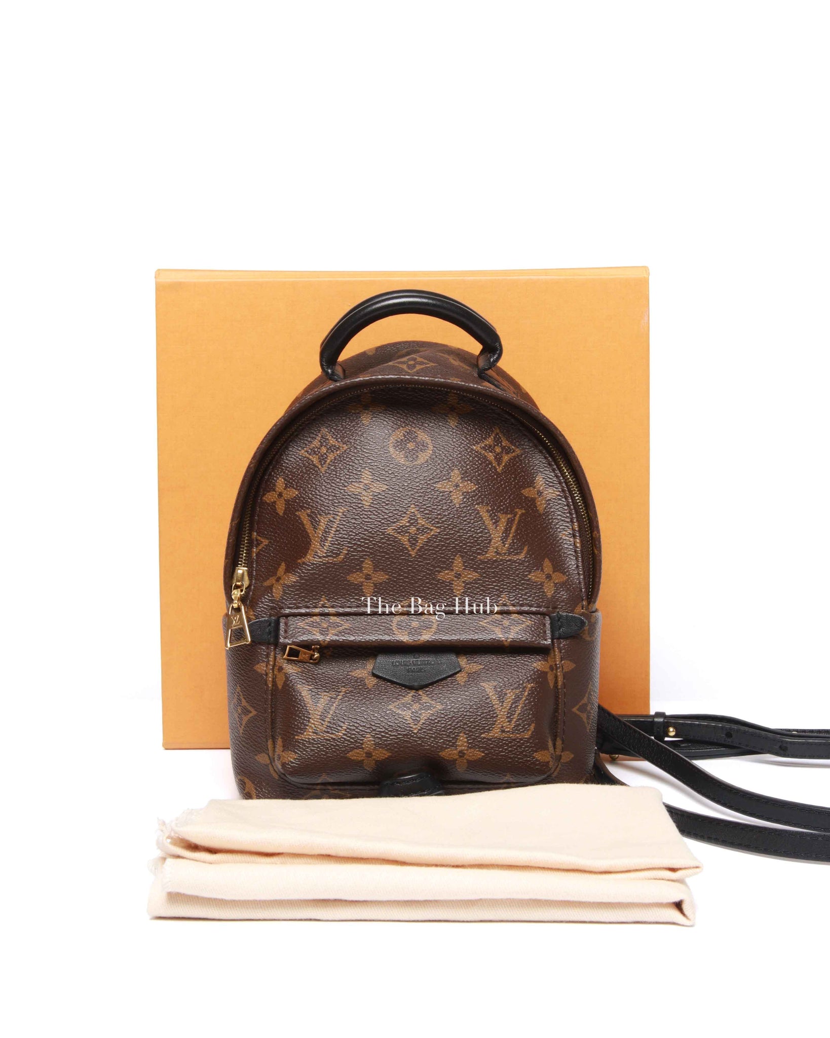 Louis Vuitton Monogram Canvas Mini Palm Springs Backpack
